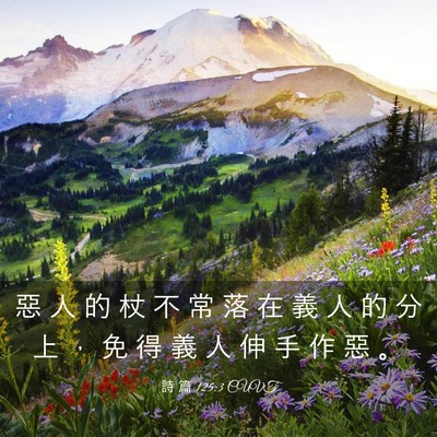 Picture 03 - 詩 篇 125:3 CUVT - 惡 人 的 杖 不 常 落 在 義 人 的 分 - Bible Verse Picture
