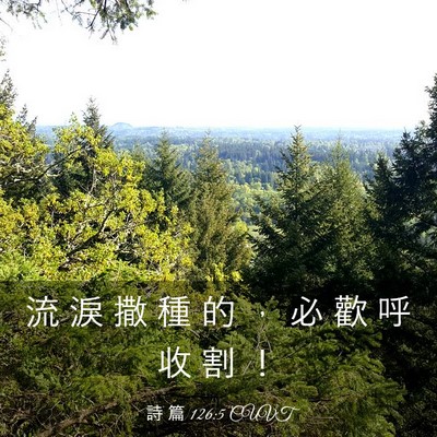 Picture 03 - 詩 篇 126:5 CUVT - 流 淚 撒 種 的 ， 必 歡 呼 收 割 - Bible Verse Picture