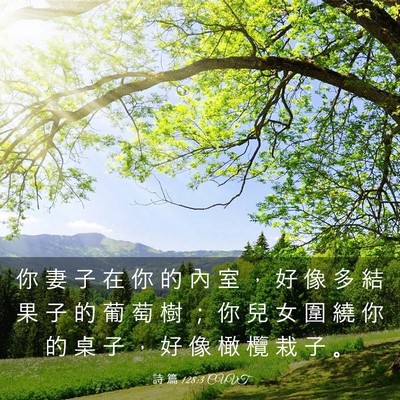Picture 03 - 詩 篇 128:3 CUVT - 你 妻 子 在 你 的 內 室 ， 好 像 多 - Bible Verse Picture