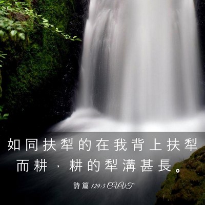 Picture 03 - 詩 篇 129:3 CUVT - 如 同 扶 犁 的 在 我 背 上 扶 犁 而 - Bible Verse Picture