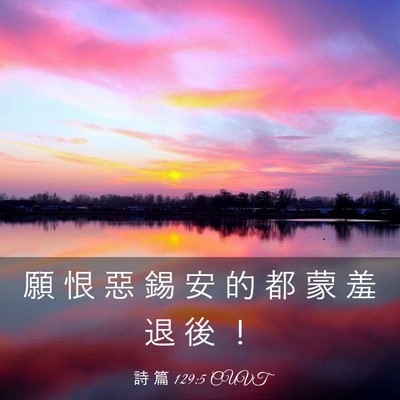 Picture 03 - 詩 篇 129:5 CUVT - 願 恨 惡 錫 安 的 都 蒙 羞 退 後 - Bible Verse Picture