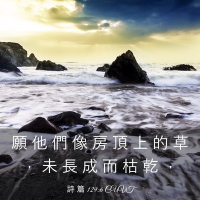 Picture 03 - 詩 篇 129:6 CUVT - 願 他 們 像 房 頂 上 的 草 ， 未 長 - Bible Verse Picture