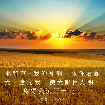 Picture 03 - 詩 篇 13:3 CUVT - 耶 和 華 ─ 我 的 神 啊 ， 求 你 看 - Bible Verse Picture