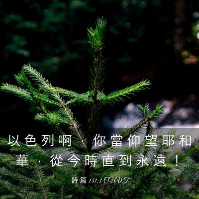Picture 03 - 詩 篇 131:3 CUVT - 以 色 列 啊 ， 你 當 仰 望 耶 和 華 - Bible Verse Picture