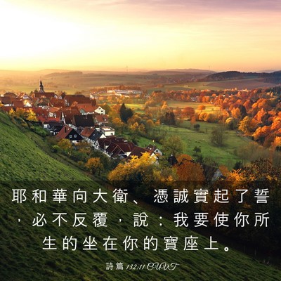 Picture 03 - 詩 篇 132:11 CUVT - 耶 和 華 向 大 衛 、 憑 誠 實 起 了 - Bible Verse Picture
