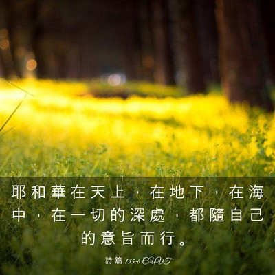 Picture 03 - 詩 篇 135:6 CUVT - 耶 和 華 在 天 上 ， 在 地 下 ， 在 - Bible Verse Picture