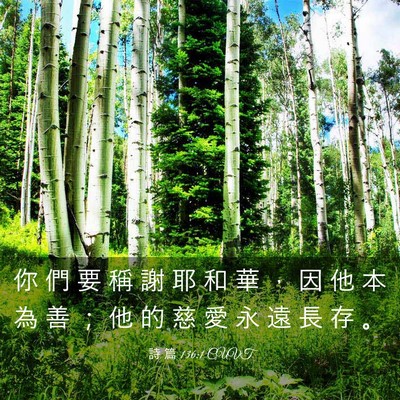 Picture 03 - 詩 篇 136:1 CUVT - 你 們 要 稱 謝 耶 和 華 ， 因 他 本 - Bible Verse Picture