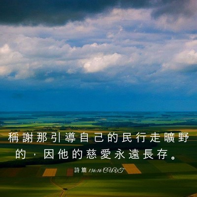 Picture 03 - 詩 篇 136:16 CUVT - 稱 謝 那 引 導 自 己 的 民 行 走 曠 - Bible Verse Picture