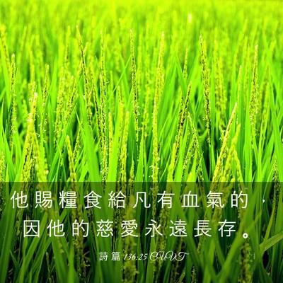 Picture 03 - 詩 篇 136:25 CUVT - 他 賜 糧 食 給 凡 有 血 氣 的 ， 因 - Bible Verse Picture