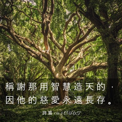 Picture 03 - 詩 篇 136:5 CUVT - 稱 謝 那 用 智 慧 造 天 的 ， 因 他 - Bible Verse Picture