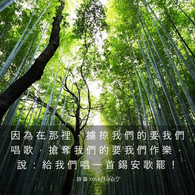 Picture 03 - 詩 篇 137:3 CUVT - 因 為 在 那 裡 ， 擄 掠 我 們 的 要 - Bible Verse Picture