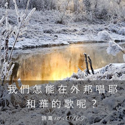 Picture 03 - 詩 篇 137:4 CUVT - 我 們 怎 能 在 外 邦 唱 耶 和 華 的 - Bible Verse Picture