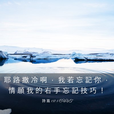 Picture 03 - 詩 篇 137:5 CUVT - 耶 路 撒 冷 啊 ， 我 若 忘 記 你 ， - Bible Verse Picture