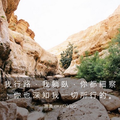 Picture 03 - 詩 篇 139:3 CUVT - 我 行 路 ， 我 躺 臥 ， 你 都 細 察 - Bible Verse Picture