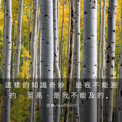 Picture 03 - 詩 篇 139:6 CUVT - 這 樣 的 知 識 奇 妙 ， 是 我 不 能 - Bible Verse Picture