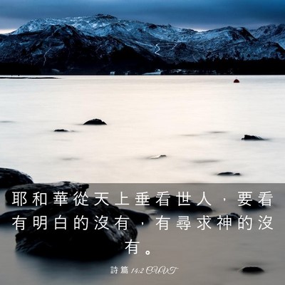 Picture 03 - 詩 篇 14:2 CUVT - 耶 和 華 從 天 上 垂 看 世 人 ， 要 - Bible Verse Picture