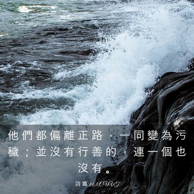 Picture 03 - 詩 篇 14:3 CUVT - 他 們 都 偏 離 正 路 ， 一 同 變 為 - Bible Verse Picture