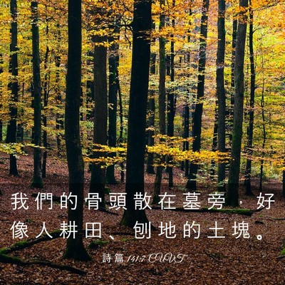 Picture 03 - 詩 篇 141:7 CUVT - 我 們 的 骨 頭 散 在 墓 旁 ， 好 像 - Bible Verse Picture