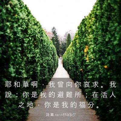 Picture 03 - 詩 篇 142:5 CUVT - 耶 和 華 啊 ， 我 曾 向 你 哀 求 。 - Bible Verse Picture