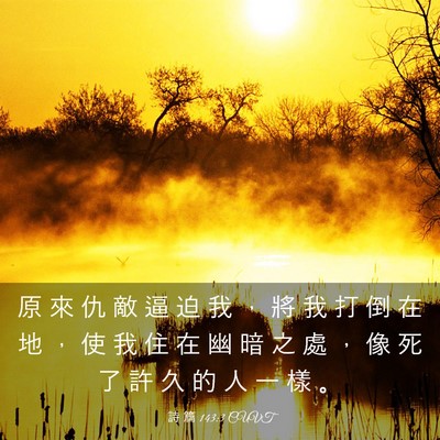 Picture 03 - 詩 篇 143:3 CUVT - 原 來 仇 敵 逼 迫 我 ， 將 我 打 倒 - Bible Verse Picture