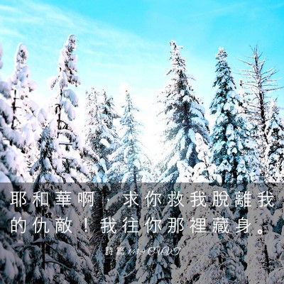 Picture 03 - 詩 篇 143:9 CUVT - 耶 和 華 啊 ， 求 你 救 我 脫 離 我 - Bible Verse Picture