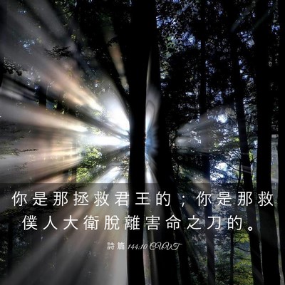 Picture 03 - 詩 篇 144:10 CUVT - 你 是 那 拯 救 君 王 的 ； 你 是 那 - Bible Verse Picture