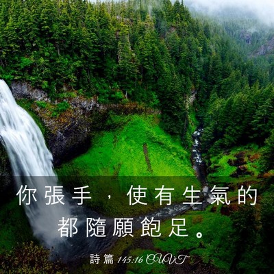 Picture 03 - 詩 篇 145:16 CUVT - 你 張 手 ， 使 有 生 氣 的 都 隨 願 - Bible Verse Picture