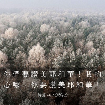 Picture 03 - 詩 篇 146:1 CUVT - 你 們 要 讚 美 耶 和 華 ！ 我 的 心 - Bible Verse Picture