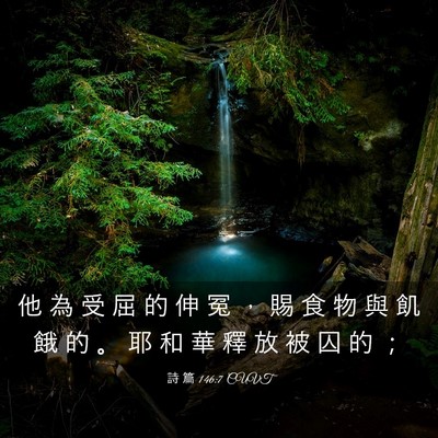 Picture 03 - 詩 篇 146:7 CUVT - 他 為 受 屈 的 伸 冤 ， 賜 食 物 與 - Bible Verse Picture