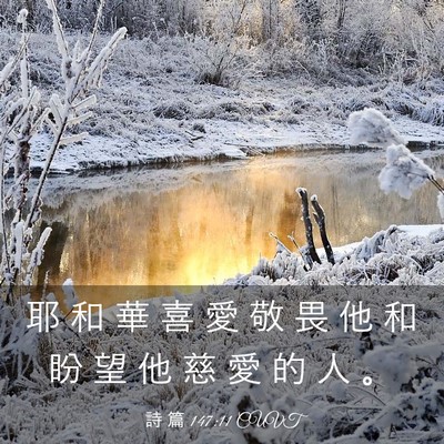 Picture 03 - 詩 篇 147:11 CUVT - 耶 和 華 喜 愛 敬 畏 他 和 盼 望 他 - Bible Verse Picture