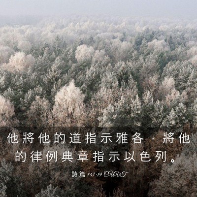 Picture 03 - 詩 篇 147:19 CUVT - 他 將 他 的 道 指 示 雅 各 ， 將 他 - Bible Verse Picture