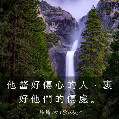 Picture 03 - 詩 篇 147:3 CUVT - 他 醫 好 傷 心 的 人 ， 裹 好 他 們 - Bible Verse Picture