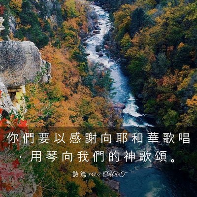 Picture 03 - 詩 篇 147:7 CUVT - 你 們 要 以 感 謝 向 耶 和 華 歌 唱 - Bible Verse Picture