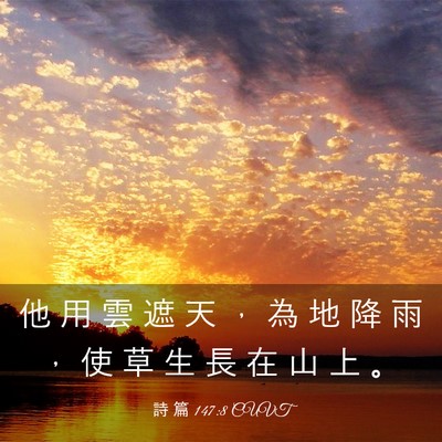 Picture 03 - 詩 篇 147:8 CUVT - 他 用 雲 遮 天 ， 為 地 降 雨 ， 使 - Bible Verse Picture
