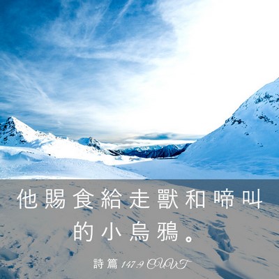 Picture 03 - 詩 篇 147:9 CUVT - 他 賜 食 給 走 獸 和 啼 叫 的 小 烏 - Bible Verse Picture