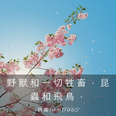 Picture 03 - 詩 篇 148:10 CUVT - 野 獸 和 一 切 牲 畜 ， 昆 蟲 和 飛 - Bible Verse Picture