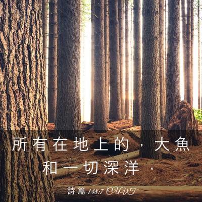 Picture 03 - 詩 篇 148:7 CUVT - 所 有 在 地 上 的 ， 大 魚 和 一 切 - Bible Verse Picture