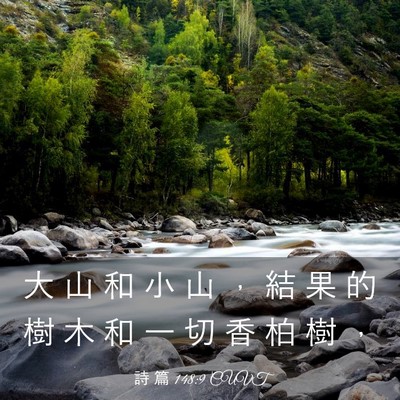Picture 03 - 詩 篇 148:9 CUVT - 大 山 和 小 山 ， 結 果 的 樹 木 和 - Bible Verse Picture