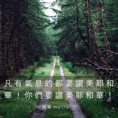 Picture 03 - 詩 篇 150:6 CUVT - 凡 有 氣 息 的 都 要 讚 美 耶 和 華 - Bible Verse Picture