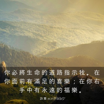 Picture 03 - 詩 篇 16:11 CUVT - 你 必 將 生 命 的 道 路 指 示 我 。 - Bible Verse Picture
