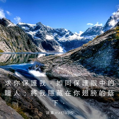 Picture 03 - 詩 篇 17:8 CUVT - 求 你 保 護 我 ， 如 同 保 護 眼 中 - Bible Verse Picture