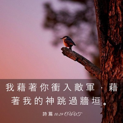 Picture 03 - 詩 篇 18:29 CUVT - 我 藉 著 你 衝 入 敵 軍 ， 藉 著 我 - Bible Verse Picture