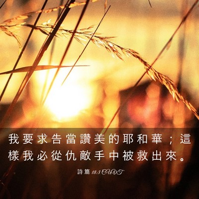 Picture 03 - 詩 篇 18:3 CUVT - 我 要 求 告 當 讚 美 的 耶 和 華 ； - Bible Verse Picture