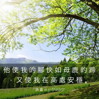 Picture 03 - 詩 篇 18:33 CUVT - 他 使 我 的 腳 快 如 母 鹿 的 蹄 ， - Bible Verse Picture