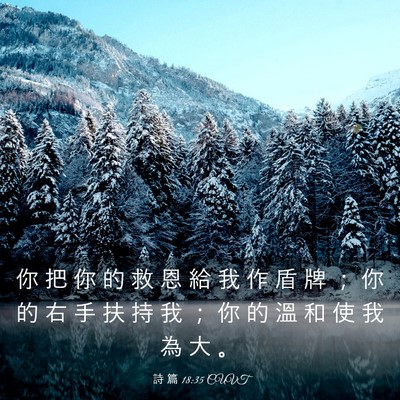 Picture 03 - 詩 篇 18:35 CUVT - 你 把 你 的 救 恩 給 我 作 盾 牌 ； - Bible Verse Picture
