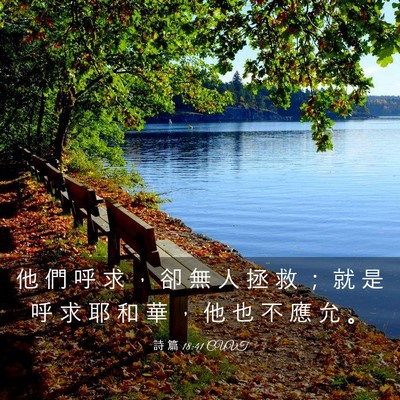 Picture 03 - 詩 篇 18:41 CUVT - 他 們 呼 求 ， 卻 無 人 拯 救 ； 就 - Bible Verse Picture