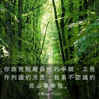 Picture 03 - 詩 篇 18:43 CUVT - 你 救 我 脫 離 百 姓 的 爭 競 ， 立 - Bible Verse Picture