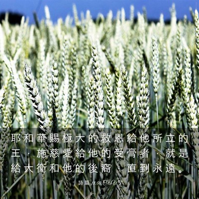 Picture 03 - 詩 篇 18:50 CUVT - 耶 和 華 賜 極 大 的 救 恩 給 他 所 - Bible Verse Picture