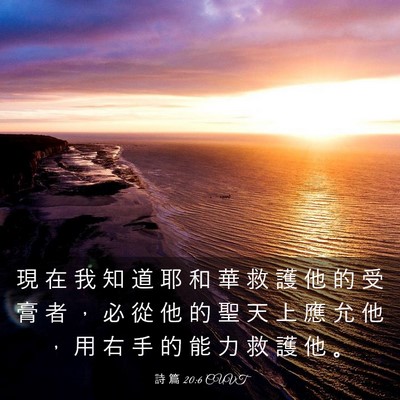Picture 03 - 詩 篇 20:6 CUVT - 現 在 我 知 道 耶 和 華 救 護 他 的 - Bible Verse Picture