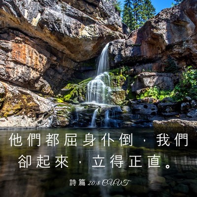 Picture 03 - 詩 篇 20:8 CUVT - 他 們 都 屈 身 仆 倒 ， 我 們 卻 起 - Bible Verse Picture